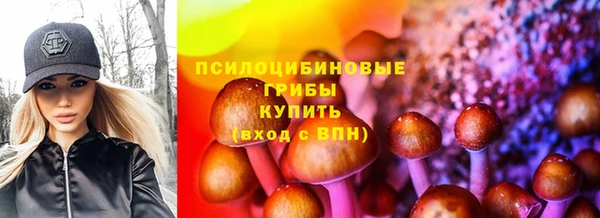 спайс Козловка