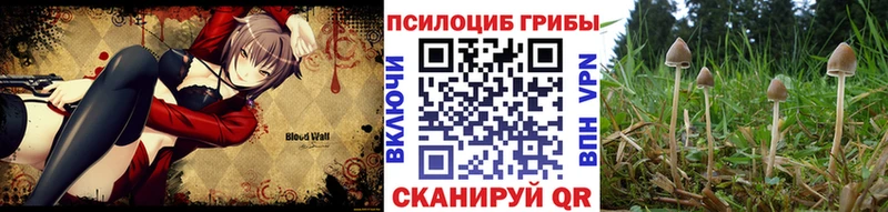 Галлюциногенные грибы GOLDEN TEACHER  Купить  Гудермес 
